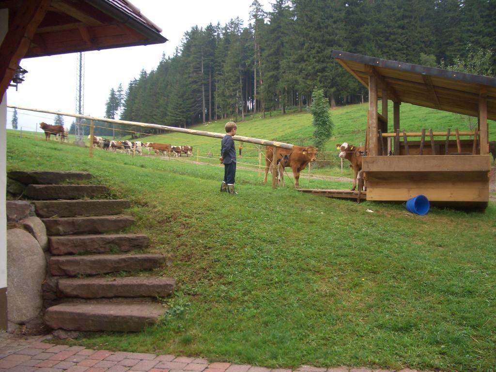 Willmannshof Furtwangen im Schwarzwald